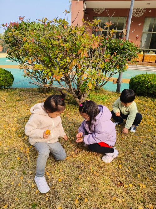 IMG_20251107_100426 - 副本.jpg