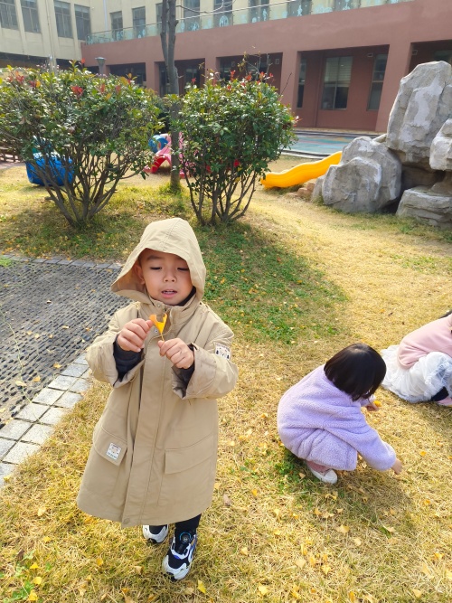 IMG_20251107_100456 - 副本.jpg