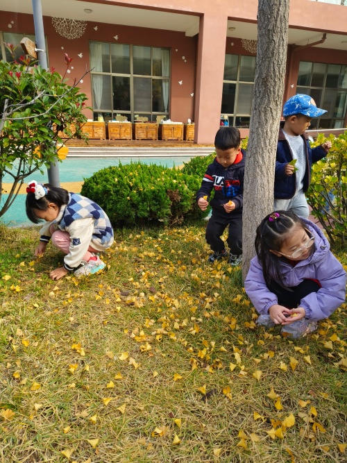 IMG_20251107_100300 - 副本.jpg